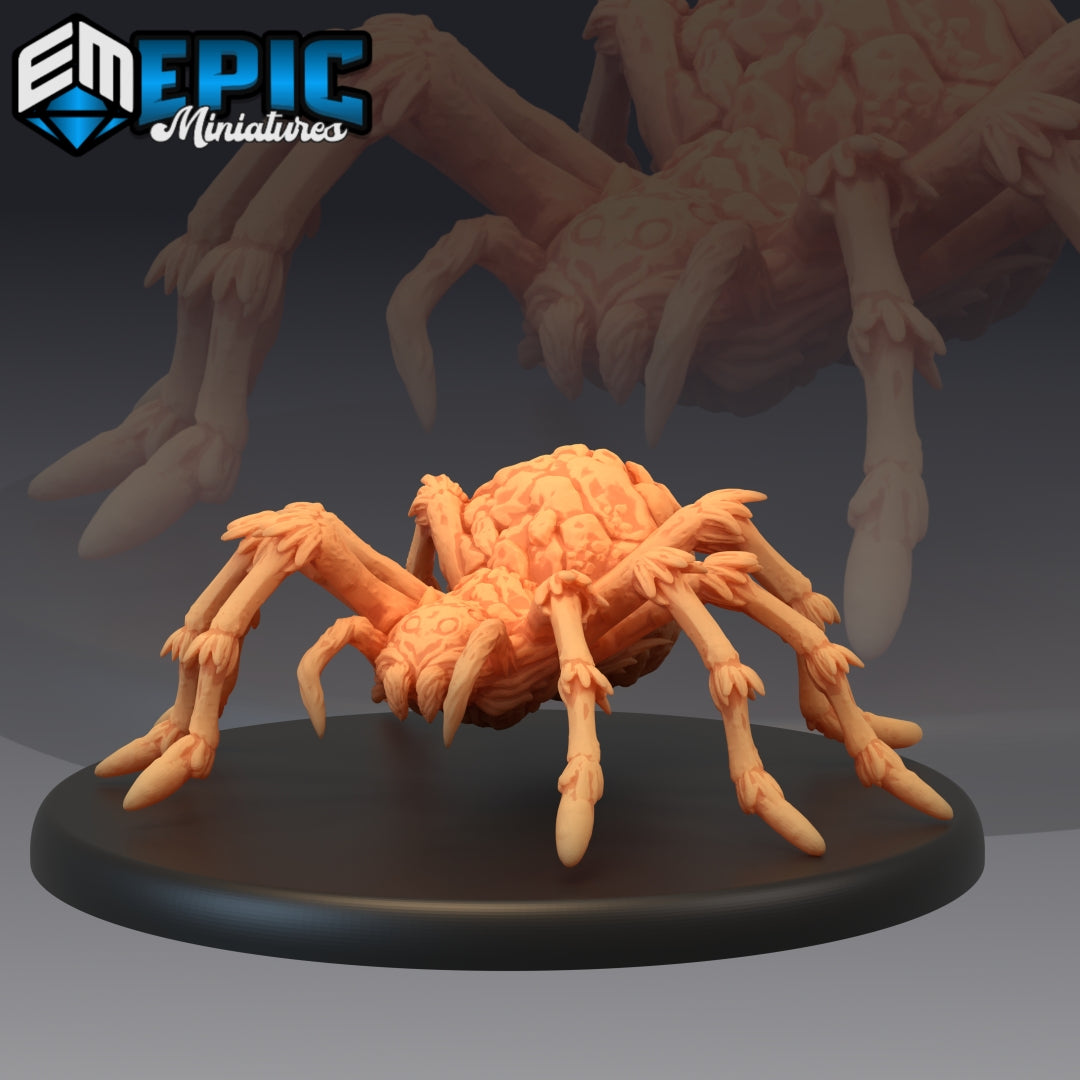 Spider - Huge (1084)