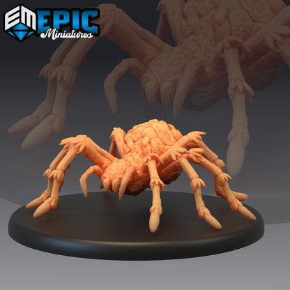 Spider - Huge (1084)