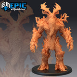 Treant (1504)