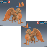 Griffin (2531)