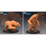 Bears - Set A - 2 Pack