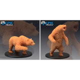 Bears - Set A - 2 Pack