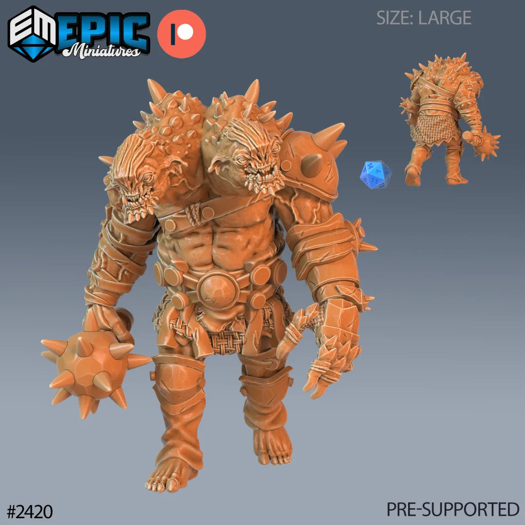 Ettin (2420)