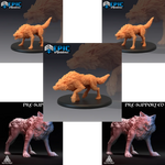Wolves - Set A - 5 Pack